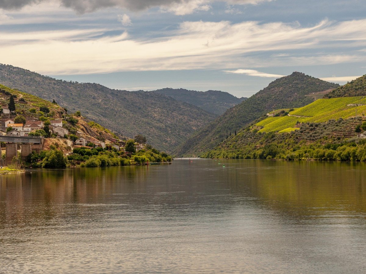 El turismo del vino y colaboración en el&nbsp;Duero